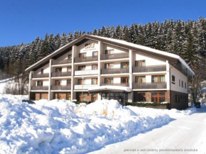 Ski Apartmán Sajmon so saunou